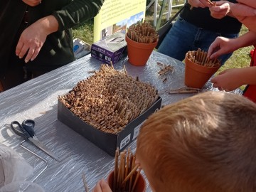 Eko-Piknik w Krainie Czarnego Bzu – relacja, 